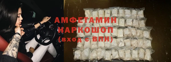 индика Арсеньев