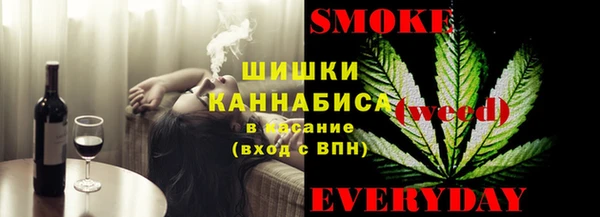 индика Арсеньев