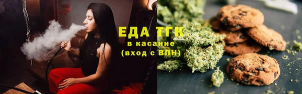 индика Арсеньев