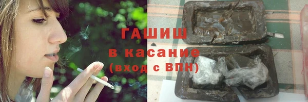 индика Арсеньев