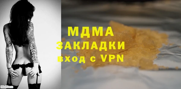 индика Арсеньев