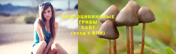 индика Арсеньев