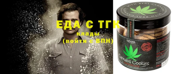 индика Арсеньев