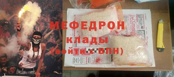 индика Арсеньев