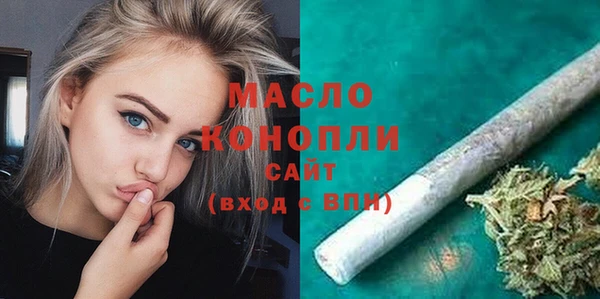 индика Арсеньев