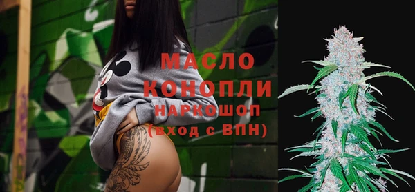 индика Арсеньев