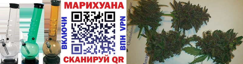 Каннабис сатива  Учалы 